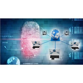 河北官方網(wǎng)絡推廣服務解析 客戶至上的羅卜特科技信息技術